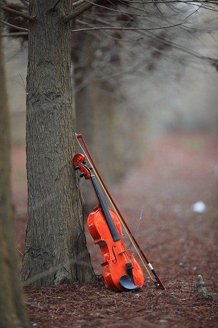 corso di musica violino